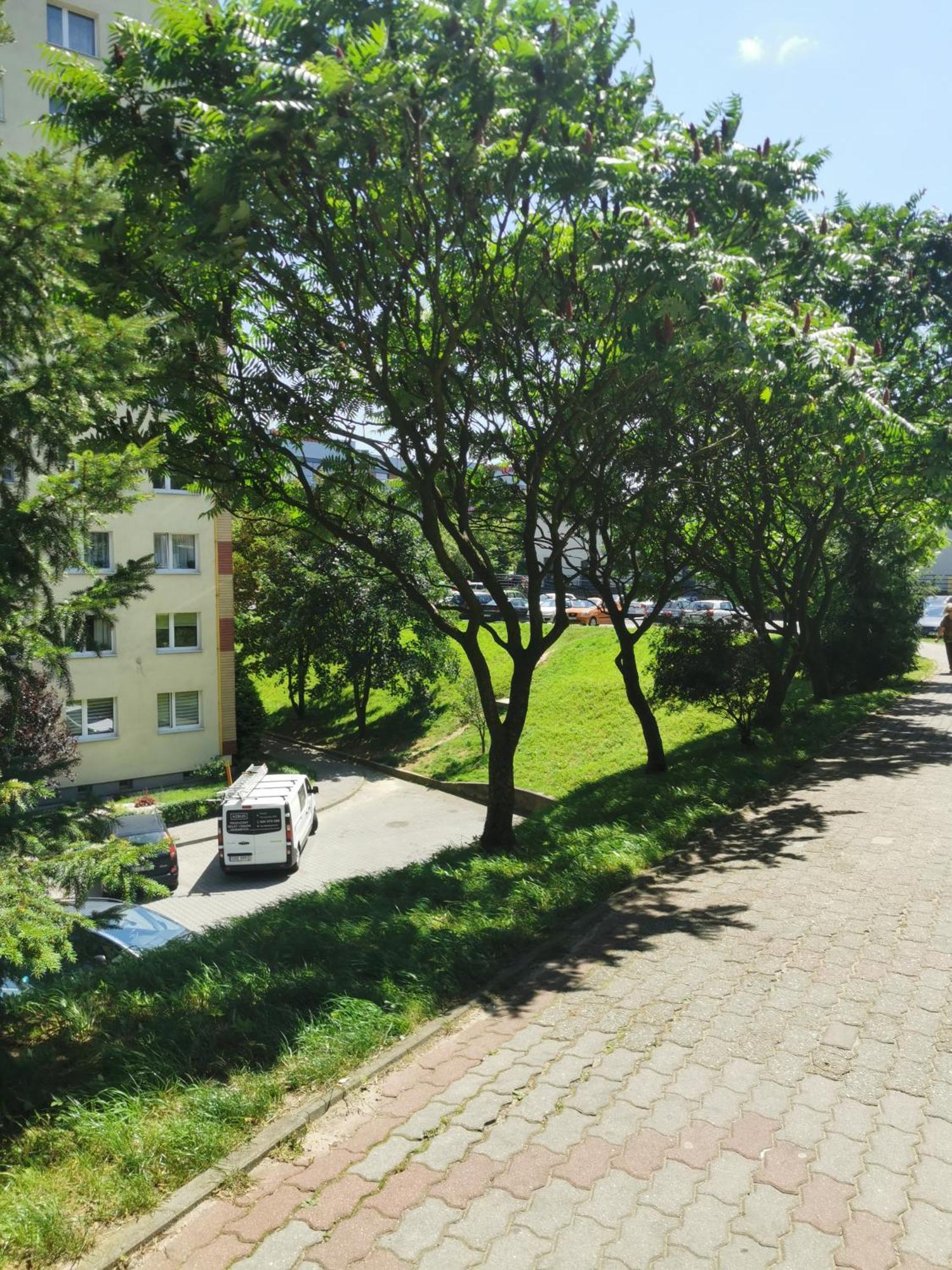 Przytulne Mieszkanie W Centrum Jastrzębie Zdrój Exterior foto